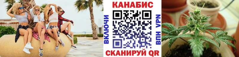Каннабис планчик  купить наркотики сайты  Власиха 
